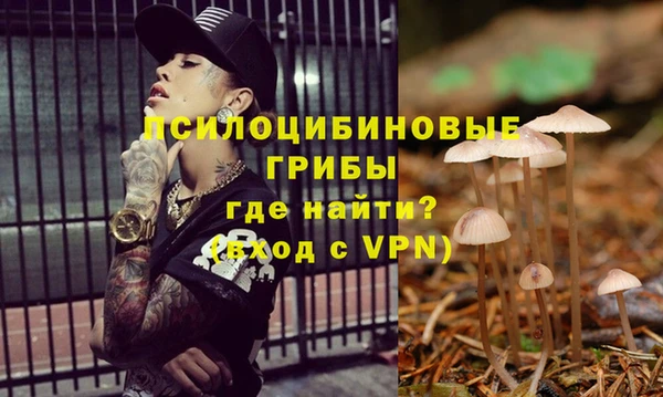 гашиш Надым